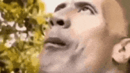 скала-мем-нет (1) (1).gif