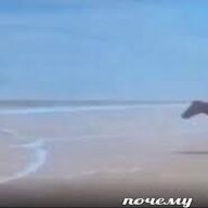 почему...