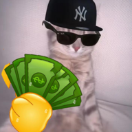 karlthekoala1