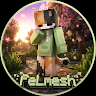 PeLmesh_15
